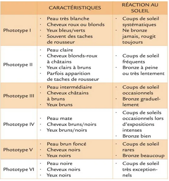 Figure 5 : Les phototypes [8] 