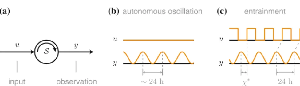 Fig. 3.1 a Circadian oscillators are viewed as open dynamical systems with input u and output y.