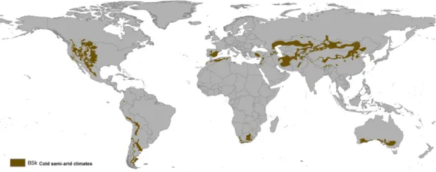 Figure 1. Cold semi-arid climate regions worldwide according to Köppen World Map (BSk) [22]