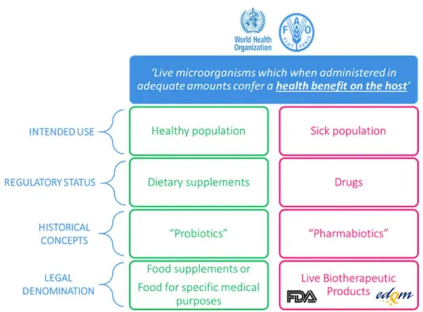 Figure 2 :  Tableau de différenciation entre un complément alimentaire  à base de probiotiques et un produit biothérapeutique vivant 