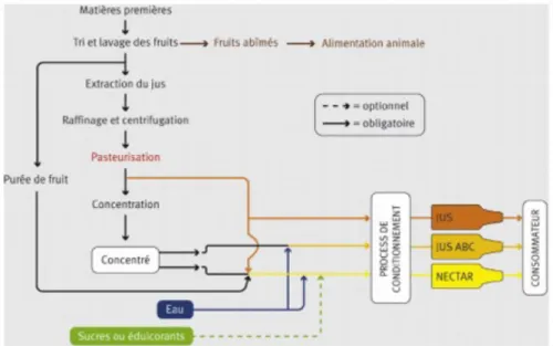 Figure 27 processus de fabrication des différents types de jus de fruits (d’après [45])