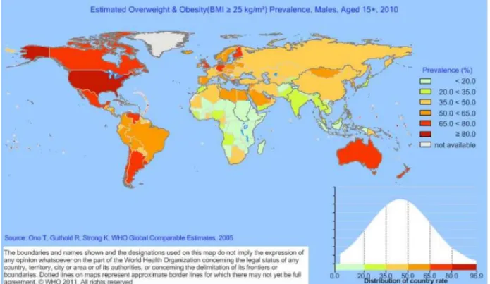 Figure 48 estimation de la prévalence de l'obésité (IMC &gt; 25) chez les hommes de plus de 15 ans en 2010