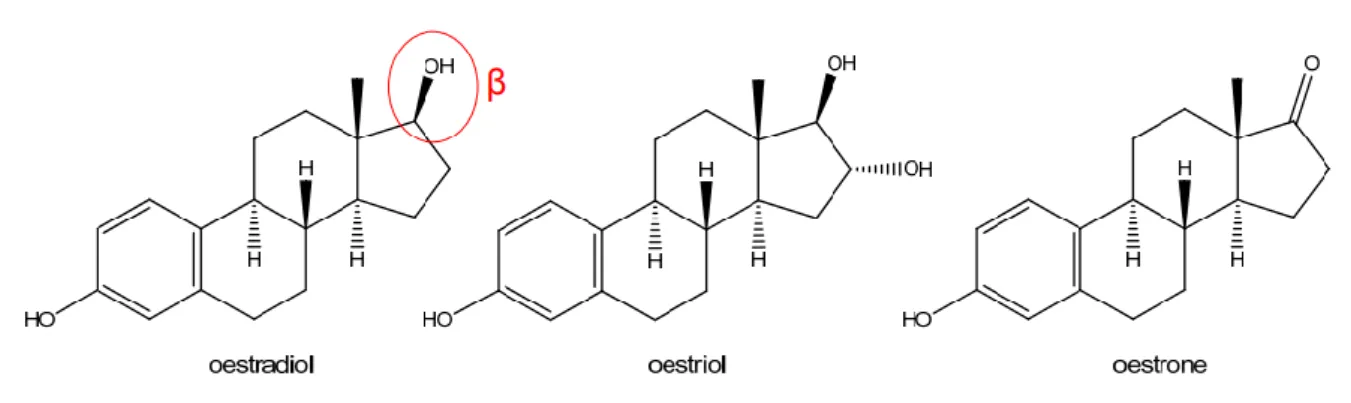 Figure 9 : Œstrogènes(16) 