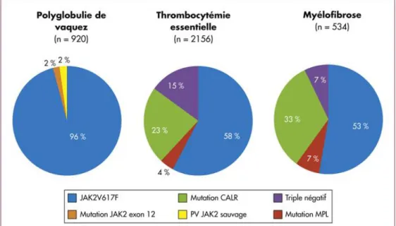 Figure 10 : Les mutations activatrices de la voie JAK/STAT dans les syndromes  myéloprolifératifs BCR-ABL négatifs