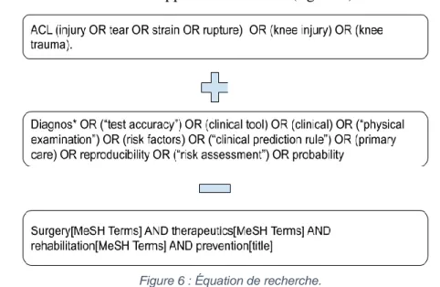 Figure 6 : Équation de recherche.