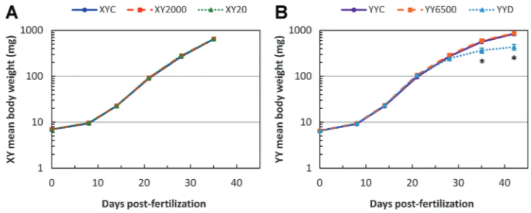 Figure 1. Mean growth curves of tilapia progeny during the experimental period in (A) XY (n ¼ 5) until 35 dpf and ( B ) YY (n ¼ 4) until 42 dpf