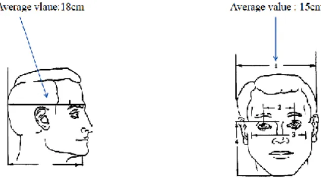 Figure 3.1: Geometrical parameters for a normal head. 