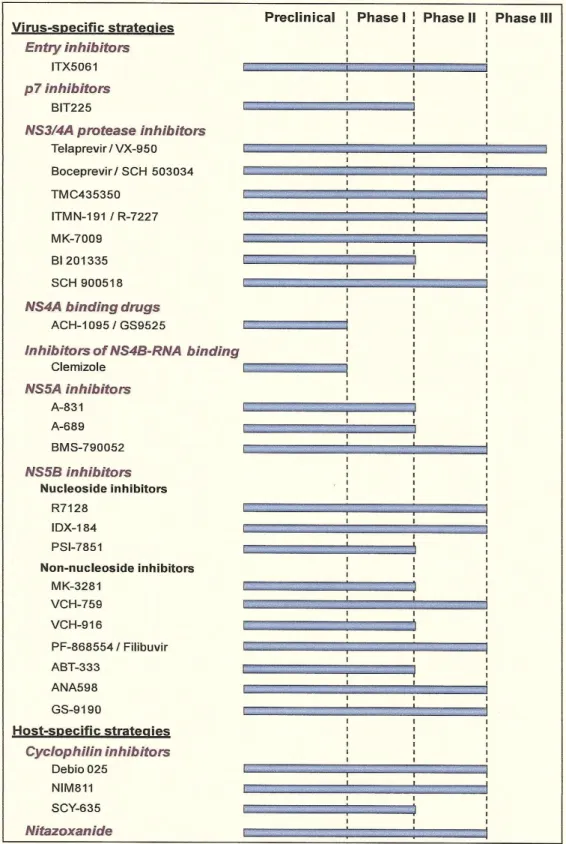 Figure 11 : Nouveaux antiviraux pour le traitement du VHC et leur stade actuel de  développement  [56] 