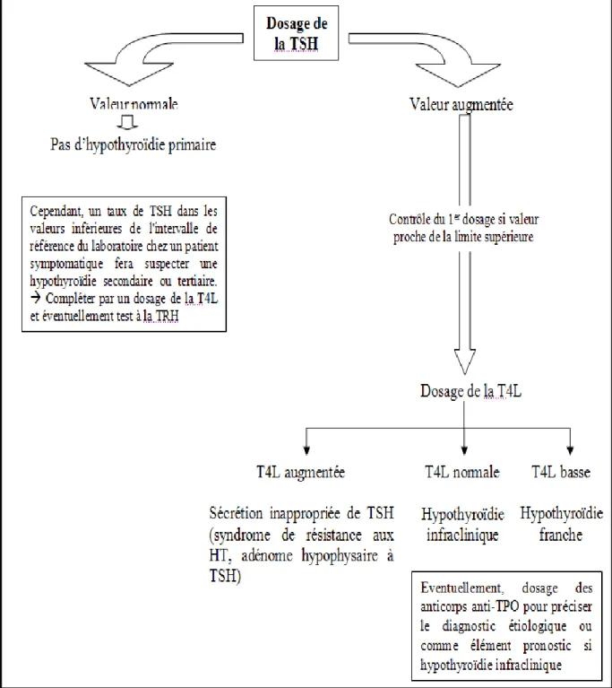 Figure 7 : Stratégie d’utilisation des examens biologiques pour le  diagnostic d’une hypothyroïdie - ANAES (16) 