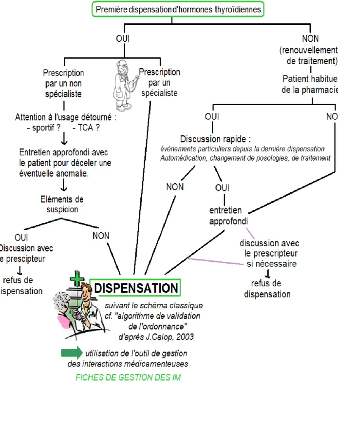 Figure 8 : Algorithme de décision spécifique à la dispensation des  hormones thyroïdiennes 