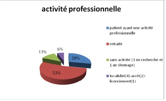 Figure 9 : Activité professionnelle