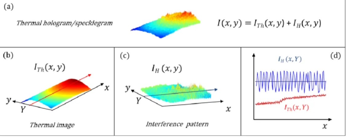 Fig.  1.  Principle  of  combination:  (a)  hologram  or  specklegram  recorded  at  thermal  wavelengths, (b) thermal part of the former, (c) interference part of the former, (d) line profile  along line y = Y