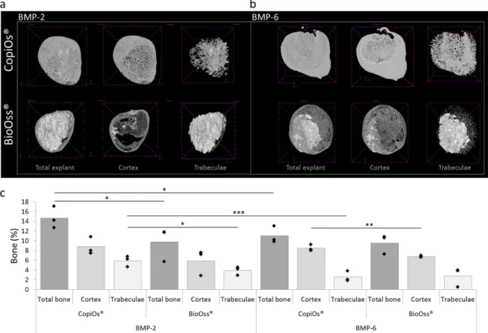 Fig. 4. Ossicle formation by BMP-2 and BMP-6. Reconstructed nanoCT-images of BMP-2 (a) and BMP-6 (b)  coated BioOss ®  and CopiOs ®  scaffolds displayed ossicle like structures with a peripheral zone containing a  cortex-like bone structure, a middle zone 