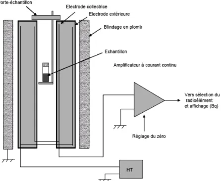 Figure 13: Coupe d'un activimètre 