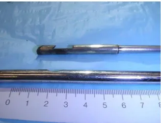 Figure 16 : matériel d’utilisation de la cytobrosse (L. Deguillaume, ENVA) 