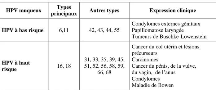 Tableau II. Manifestations clinques des principaux types d’HPV muqueux d'après [34] [107]