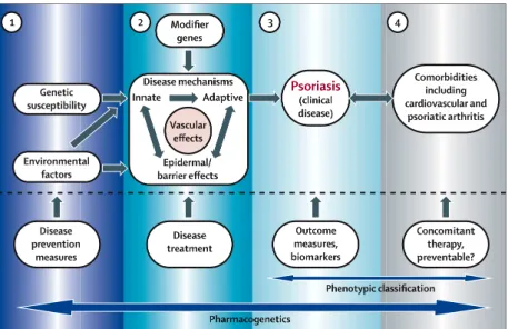 Figure    n°1.13|    The    march    of    psoriasis.    This    schematic    combines    information    that    is    currently    accepted    on    psoriasis    (upper    dotted-­‐line)    and    clinical    issues    and    intervention    strategies   