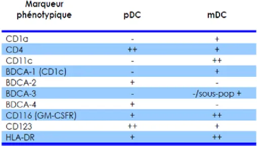 Tableau II. Immunophénotype simplifié des DC.  