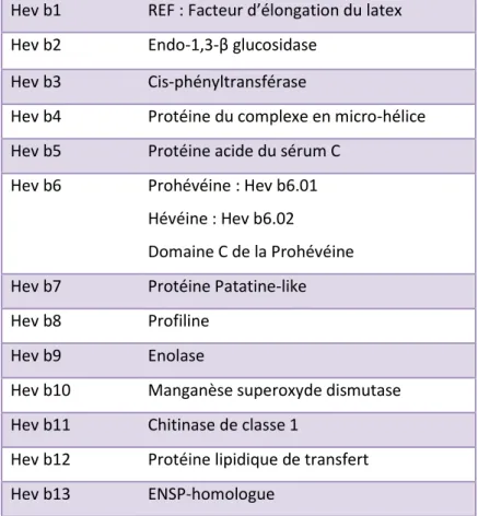 Tableau n° II : Les différentes protéines identifiées, présentes dans le caoutchouc naturel  (2) 