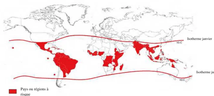 Figure  5:  régions  et  pays  à  risque  en  2008.  Les  lignes  isothermes  de  janvier  et  de  juin  indiquent les limites géographiques potentielles dans l’hémisphère nord et sud pour la survie à  l’année de Aedes Aegypti, principal vecteur de la mala