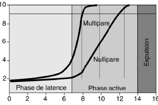 Tableau 1 : Courbe de la dilatation cervicale d’après Friedman (3) 