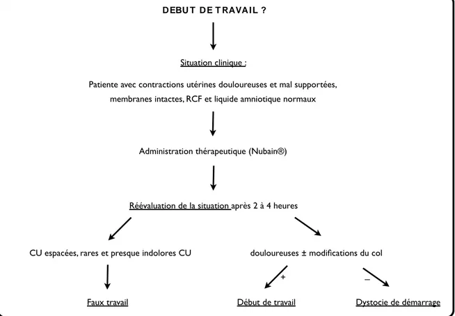 Tableau 3: Détermination des différents diagnostics de travail (8) 