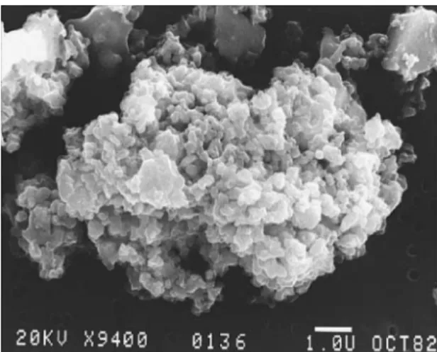 Fig. 3 Secondary electron micrograph of a chondritic porous (CP) anhydrous IDP.