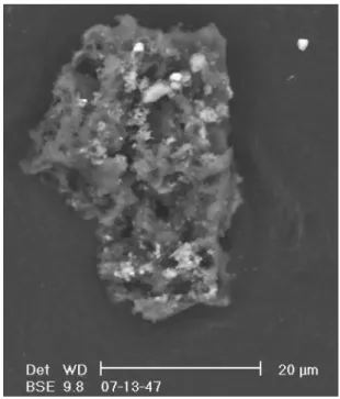Fig. 4 Backscattered electron micrograph of a fragment of CONCORDIA