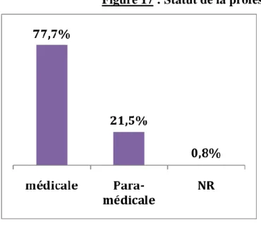 Figure 17 : Statut de la profession de sage-femme 