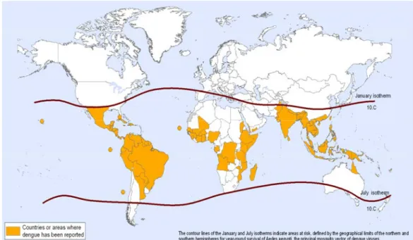 Figure I-1: Répartition mondiale de la dengue en 2010, source OMS