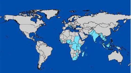 Figure I-5 : répartition mondiale du CHIKV en 2008  (Source Center for Diseases Control) 