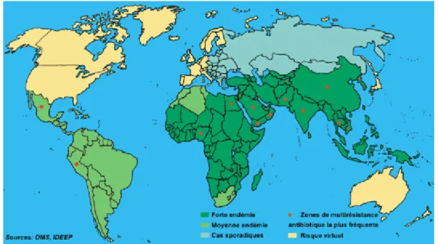 Figure I-11: Zones d'endémie de la fièvre typhoïde  