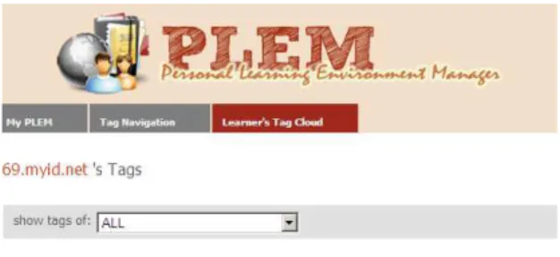 Figure 1. The PLEM tags cloud of a participant. 