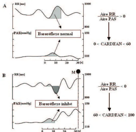 Figure  2.  Tracés  typiques  de  l'intervalle  R-R  (RR)  et  de  la  pression  artérielle  systolique  (PAS)  au  cours d'une anesthésie générale adéquate (A) par opposition à une anesthésie générale inadéquate  (B) quelques dizaines de secondes avant un