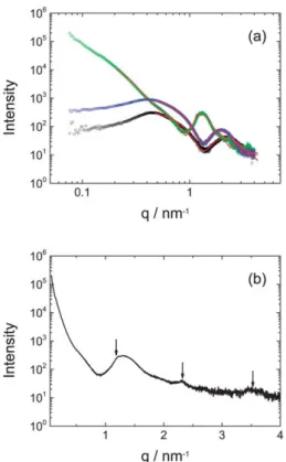Fig. 4 SAXS data for 1 wt% solutions of the three lipopeptides (a) comparison of data with model ﬁ ts (red lines) as described in the text