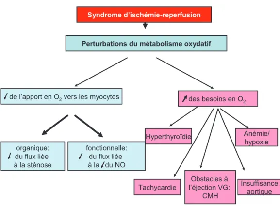 Figure 6 : Conséquences de l’ischémie myocardique sur le métabolisme oxydatif  (Timour, Practice UCBL, 2009) 