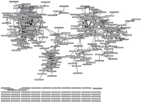 Figure 3. Self-citation network of Prof. Ebeling, composed of a percolated island of 251 articles,  and of 64 disconnected articles 