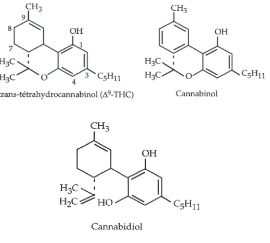 Figure  2 :  Structure  chimique  des  principaux  cannabinoïdes  présents  dans  Cannabis  sativa [6] 