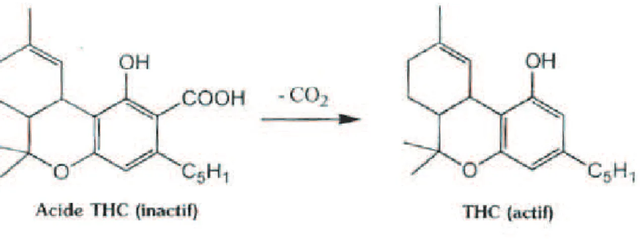 Figure 3 : Transformation de l’acide THC en THC (réaction de décarboxylation) 