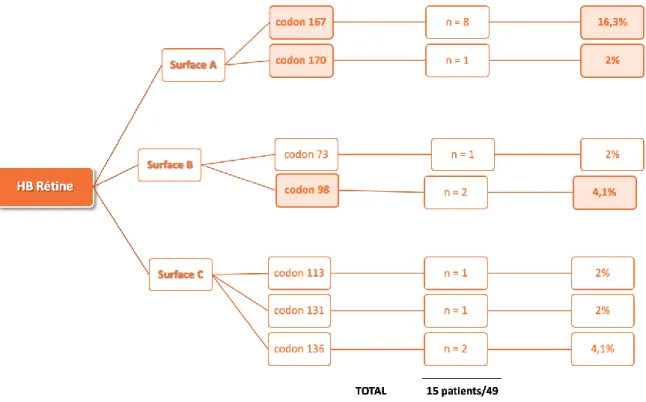 Figure 3 (suite).  Profil génétique des patients porteurs d’hémangioblastomes de rétine  B