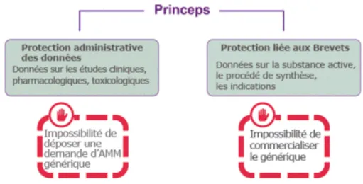 Figure 1 : La protection du médicament princeps (7)