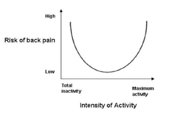 Figure 5 : Relation théorique entre l'activité physique et la lombalgie [76]