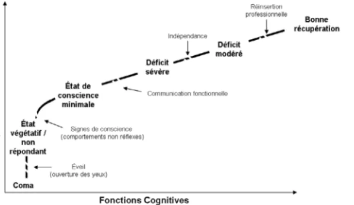 Figure 2 : schéma représentant l’évolution classique du coma vers une récupération fonction- fonction-nelle 40 .