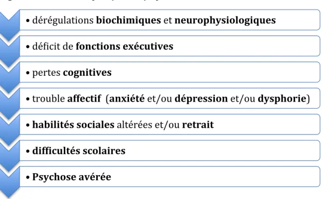 Figure 1   Évolution neuro-développementale des symptômes  négatifs et affectifs jusqu'à la psychose avérée