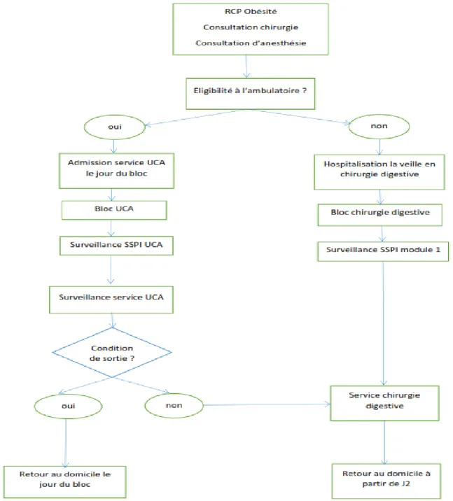 Figure 1 : Schéma organisationnel des filières Ambulatoire et Hospitalisation 