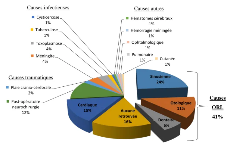 Figure 2 : Portes d'entrée infectieuses des complications intra-crâniennes 