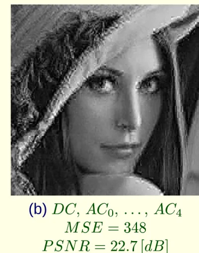 Figure 5: JPEG encrypted images.
