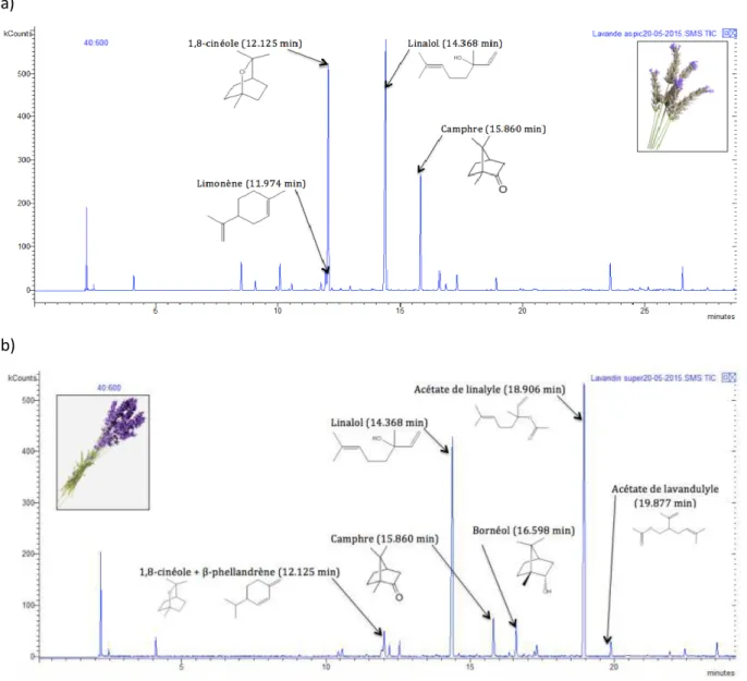 Figure 6 : Chromatogrammes GC/MS d’huiles essentielles de Lavande aspic et de Lavande super  GC/MS : Gas Chomatography/Mass Spectroscopy 