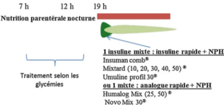 Fig. 4. Schémas d’insulinothérapie en nutrition parentérale cyclique nocturne.