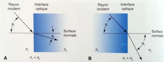 Figure  3 :  Propagation  des  rayons  lumineux  en  fonction  des  indices  de  réfraction :  A)  La  lumière se propageant d’un milieu d’indice bas vers un milieu d’indice élevé est déviée vers la  surface normale B) Celle d’un indice élevé vers un indic